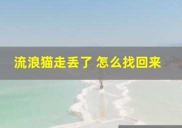 流浪猫走丢了 怎么找回来